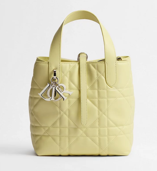 👜 DIOR | Bolso tote vertical pequeño Dior Toujours