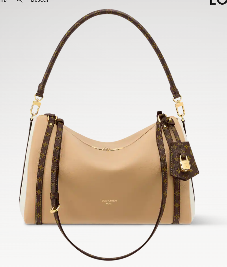 👜 LOUIS VUITTON | Bolso Express MM